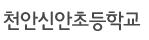 천안신안초등학교